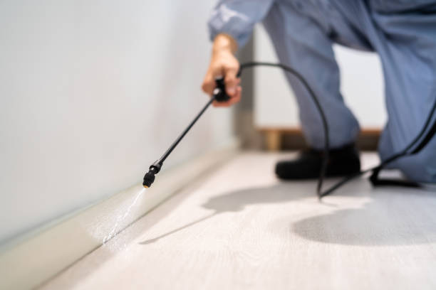 Licensed Termite Control service in Caledonia, WI - Nex Pest Control