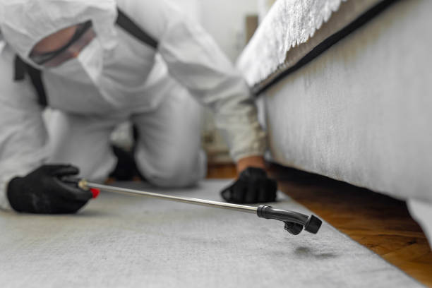 Professional Termite Control technician working in Caledonia, WI