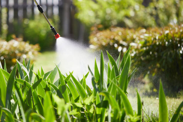 24/7 Emergency Termite Control experts in Caledonia, WI