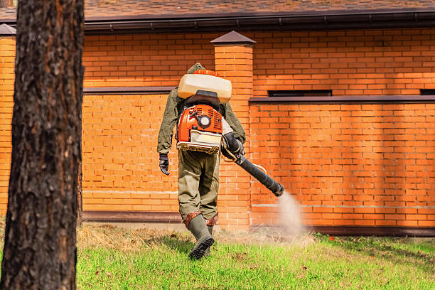 Top rated local Termite Control specialists in Caledonia, WI